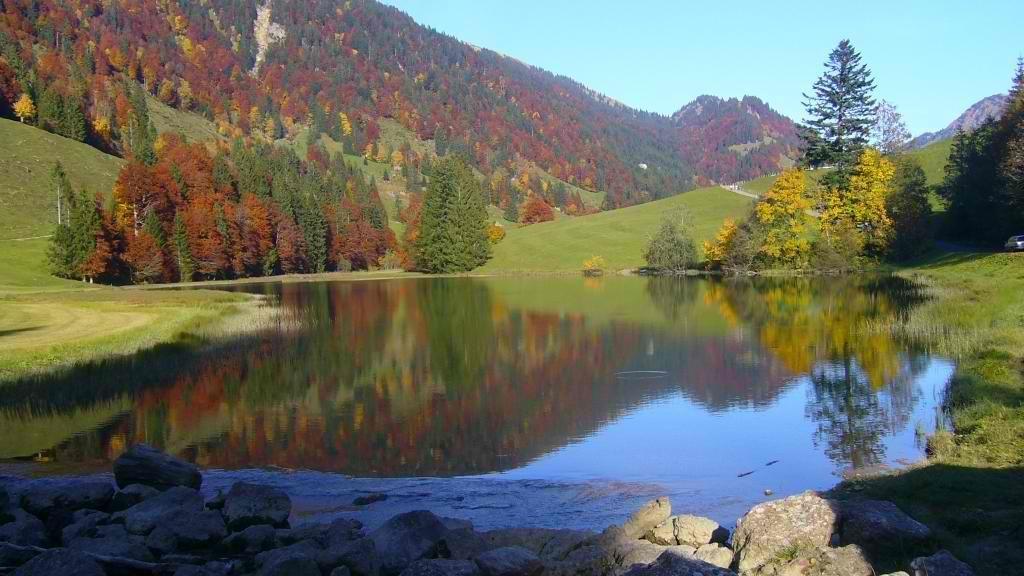 Ferienhuette Kaelberweide Lejlighed Hittisau Eksteriør billede